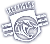 University of Cape Town crest